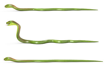 Image showing Set of crowling green cobras