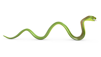 Image showing Crawling green cobra