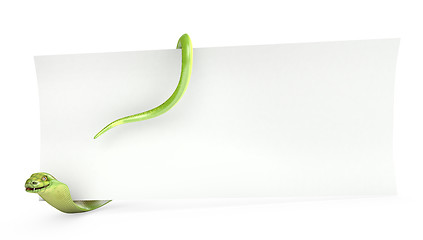 Image showing Cobra holds planks paper
