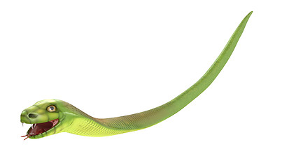 Image showing Green cobra flies or falls