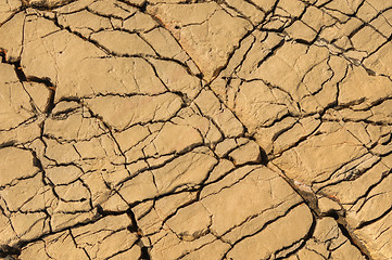 Image showing Detail of limestone surface, Vrboska, north of Croatia