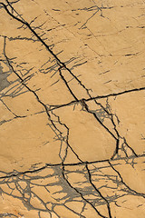 Image showing Detail of limestone surface, Vrboska, north of Croatia