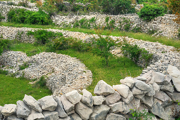 Image showing Sheep pasture, drystone walls, Rudine, Krk island, Croatia