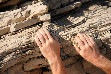 Image showing Rock climber, detail of hands