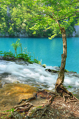 Image showing Plitvice Lakes National Park, Croatia