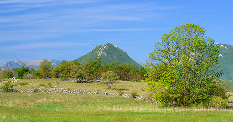 Image showing Mountain in Lika - Trovrh. The view near Ondic, Croatia