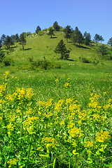 Image showing Mountain landscape in Lika, Croatia