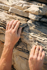 Image showing Rock climber, detail of hands