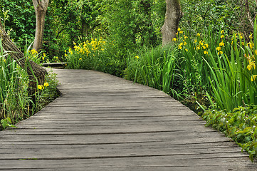 Image showing Footbridge in Krka National Park, Croatia