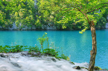 Image showing Plitvice Lakes National Park, Croatia