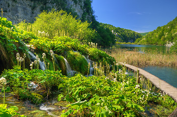 Image showing Plitvice Lakes National Park, Croatia