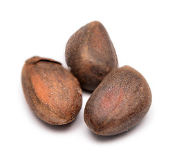 Image showing cedar nuts