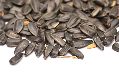 Image showing sunflower seeds