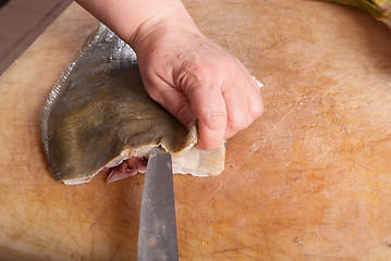 Image showing Skinning fish