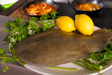 Image showing Fresh sole