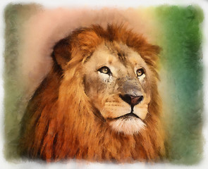 Image showing Royal King Lion Portrait Water Color Painting