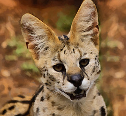 Image showing Serval African Wild Cat Portrait Painting