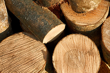 Image showing Bunch of cut firewood logs