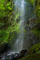 Image showing Mallyan Spout waterfall