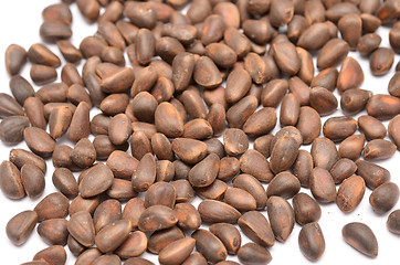 Image showing cedar nuts