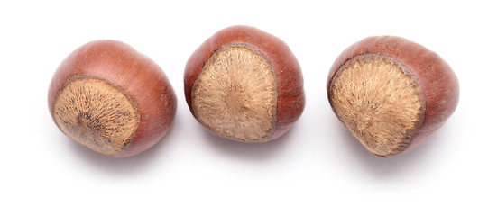 Image showing hazelnuts