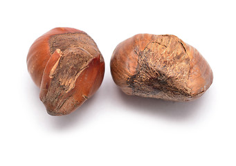 Image showing hazelnuts