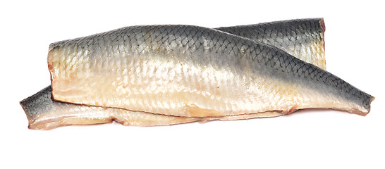 Image showing herring