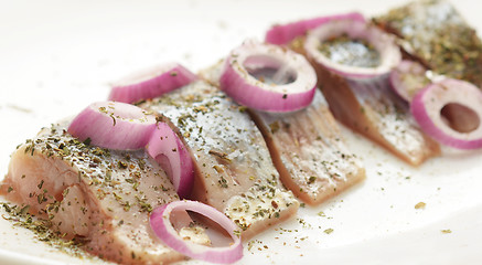 Image showing herring