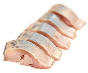 Image showing herring