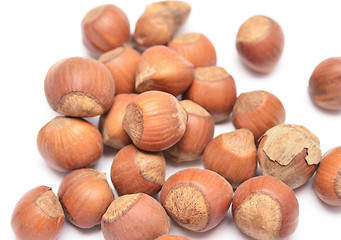 Image showing hazelnuts