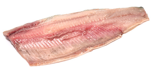 Image showing herring