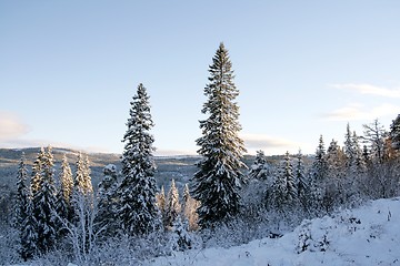 Image showing Winter landscape