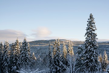 Image showing Winter landscape