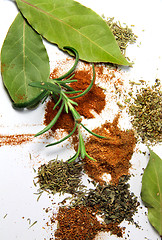 Image showing Spices 