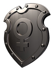Image showing female symbol on shield