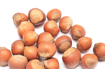 Image showing hazelnuts