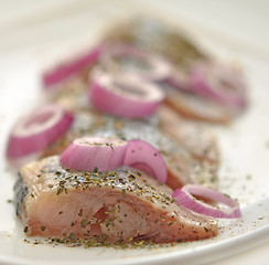 Image showing herring