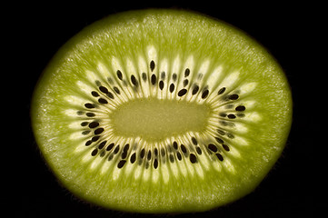 Image showing kiwi