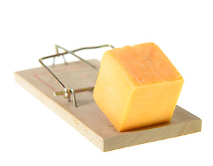 Image showing Set Mouse Trap