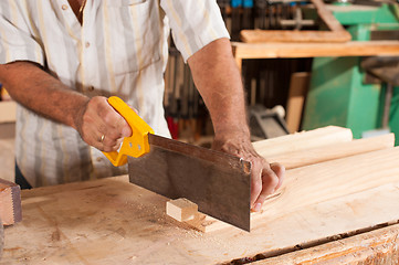 Image showing Carpenter with hand saw