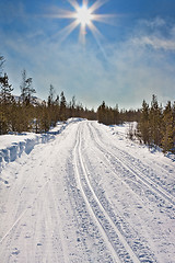 Image showing empty trails for cross-country skiing