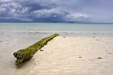 Image showing wood in the sand