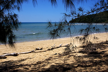 Image showing madagascar's beach