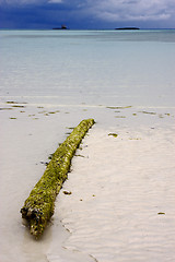 Image showing rock and wood