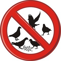 Image showing Ban on feeding pigeons