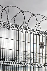 Image showing Barbed wire