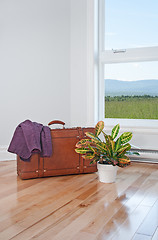 Image showing Retro suitcase and bright plant in empty room