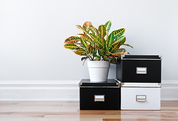 Image showing Storage boxes and green plant in a room