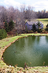 Image showing Duck pond and farm building