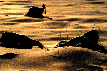 Image showing A harvested corn field covered with snow at sunset